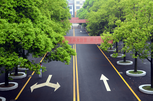 桃源县职业中等专业学校|湖南桃花源技工学校