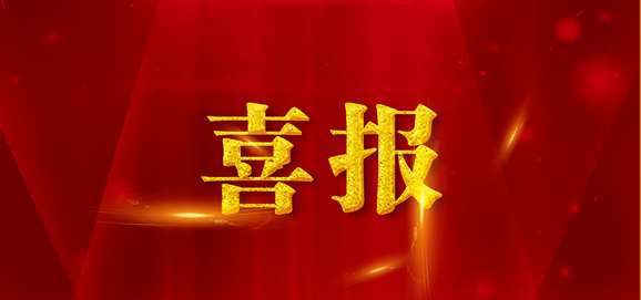 桃源县职业中专在2025年度湖南省“楚怡杯”职业院校技能竞赛中斩获佳绩
