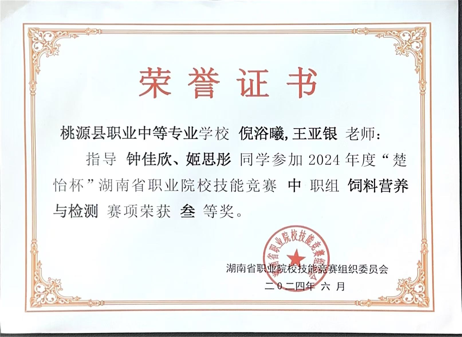 图片3